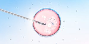 fertility